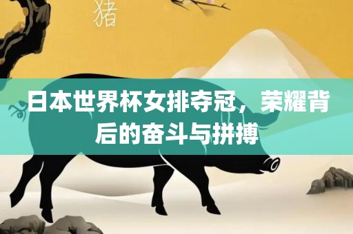 日本世界杯女排夺冠，荣耀背后的奋斗与拼搏