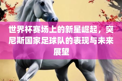 世界杯赛场上的新星崛起，突尼斯国家足球队的表现与未来展望
