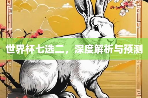 世界杯七选二，深度解析与预测