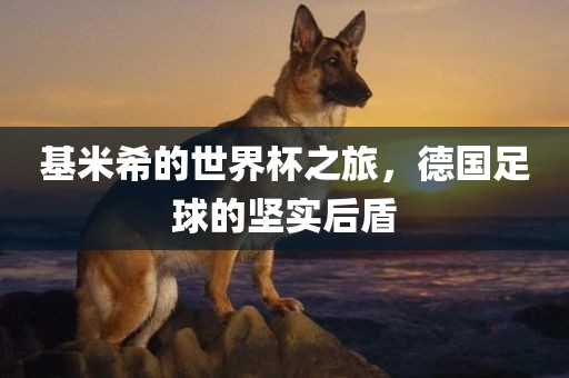基米希的世界杯之旅，德国足球的坚实后盾