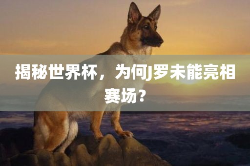 揭秘世界杯，为何J罗未能亮相赛场？