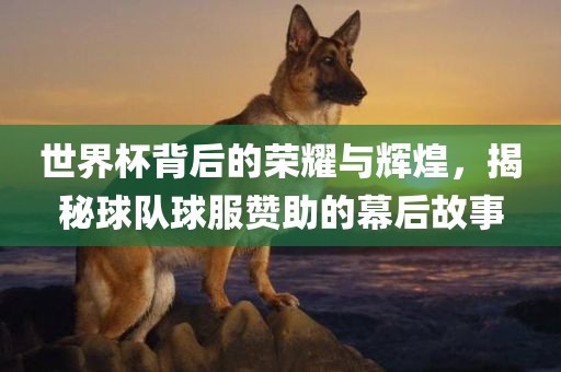 世界杯背后的荣耀与辉煌，揭秘球队球服赞助的幕后故事