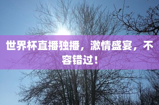 世界杯直播独播，激情盛宴，不容错过！