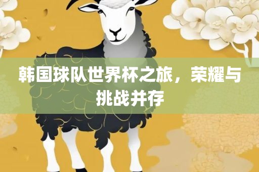 韩国球队世界杯之旅，荣耀与挑战并存