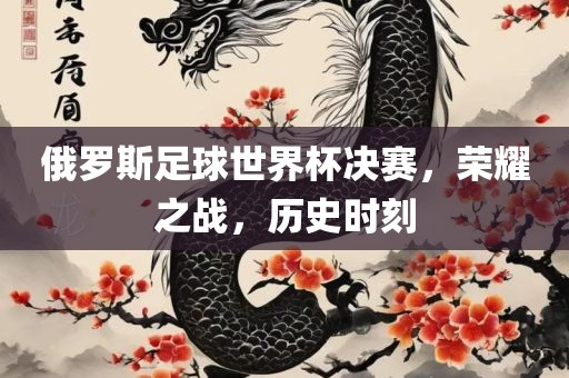 俄罗斯足球世界杯决赛，荣耀之战，历史时刻