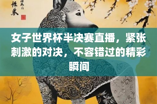 女子世界杯半决赛直播，紧张刺激的对决，不容错过的精彩瞬间