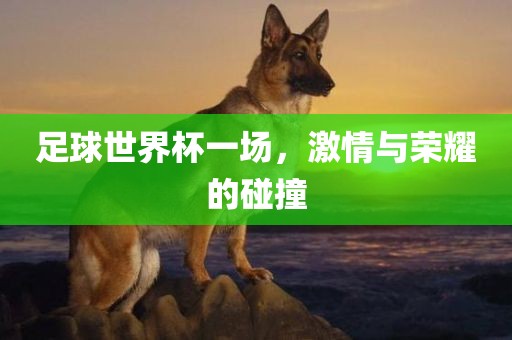 足球世界杯一场，激情与荣耀的碰撞