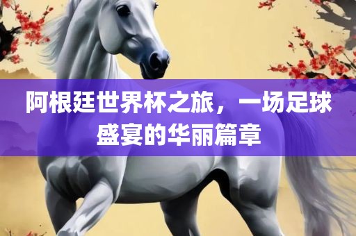阿根廷世界杯之旅，一场足球盛宴的华丽篇章