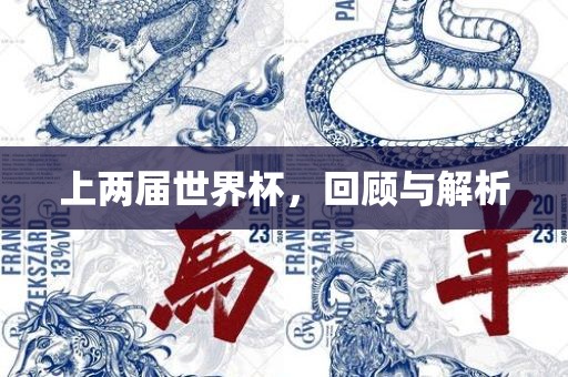上两届世界杯，回顾与解析