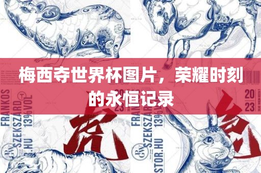 梅西夺世界杯图片，荣耀时刻的永恒记录