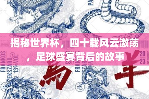 揭秘世界杯，四十载风云激荡，足球盛宴背后的故事