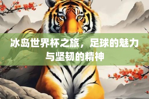 冰岛世界杯之旅，足球的魅力与坚韧的精神