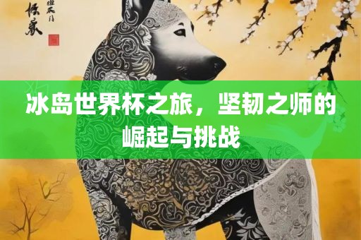 冰岛世界杯之旅，坚韧之师的崛起与挑战