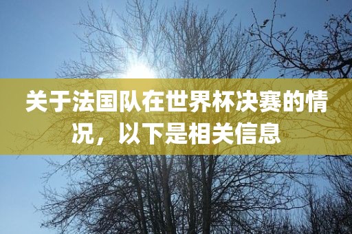 关于法国队在世界杯决赛的情况，以下是相关信息