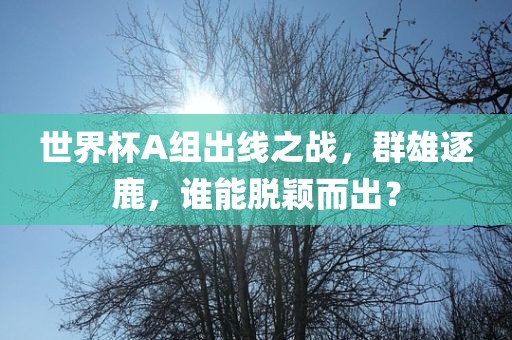 世界杯A组出线之战，群雄逐鹿，谁能脱颖而出？