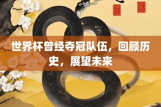 世界杯曾经夺冠队伍，回顾历史，展望未来