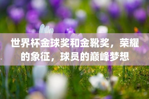 世界杯金球奖和金靴奖，荣耀的象征，球员的巅峰梦想
