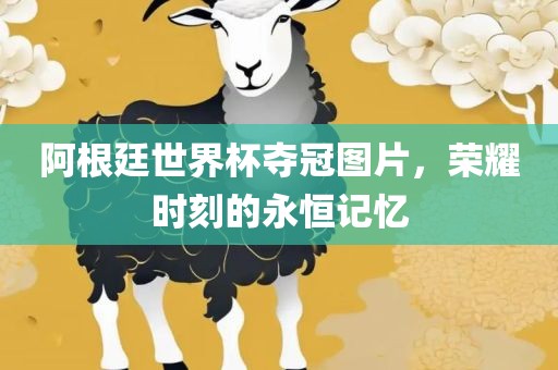 阿根廷世界杯夺冠图片，荣耀时刻的永恒记忆
