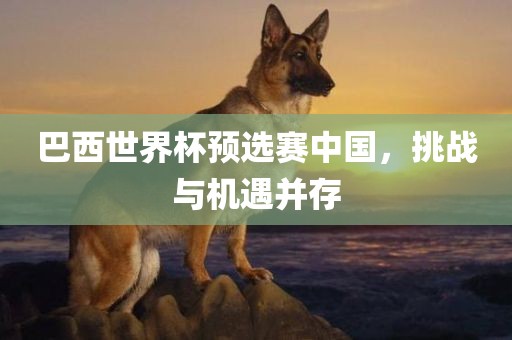 巴西世界杯预选赛中国，挑战与机遇并存