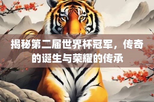 揭秘第二届世界杯冠军，传奇的诞生与荣耀的传承