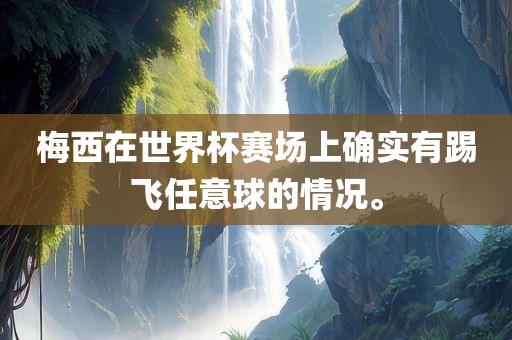 梅西在世界杯赛场上确实有踢飞任意球的情况。