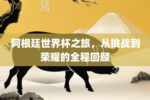 阿根廷世界杯之旅，从挑战到荣耀的全程回顾