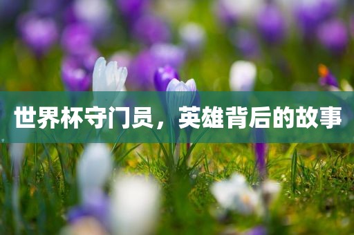 世界杯守门员，英雄背后的故事