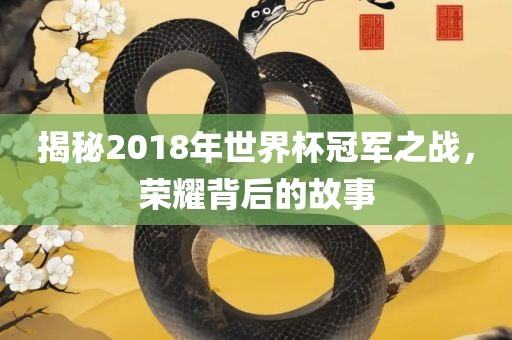 揭秘2018年世界杯冠军之战，荣耀背后的故事