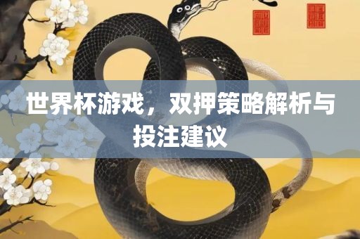 世界杯游戏，双押策略解析与投注建议