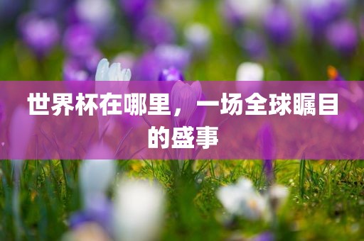 世界杯在哪里，一场全球瞩目的盛事
