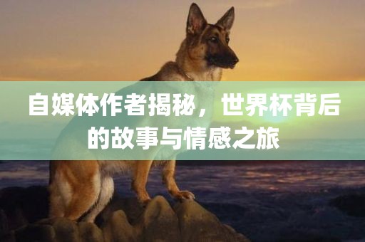 自媒体作者揭秘，世界杯背后的故事与情感之旅