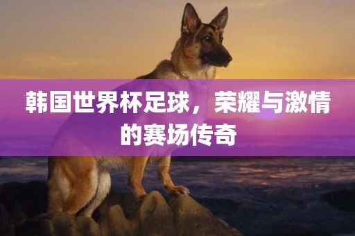 韩国世界杯足球，荣耀与激情的赛场传奇