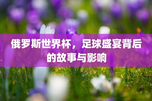 俄罗斯世界杯，足球盛宴背后的故事与影响