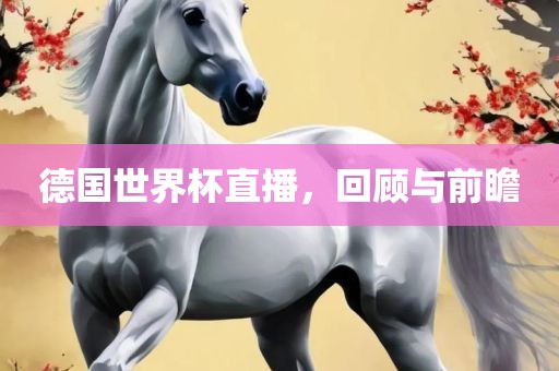 德国世界杯直播，回顾与前瞻
