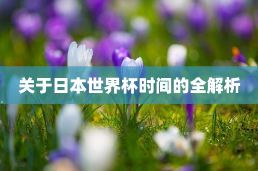 关于日本世界杯时间的全解析