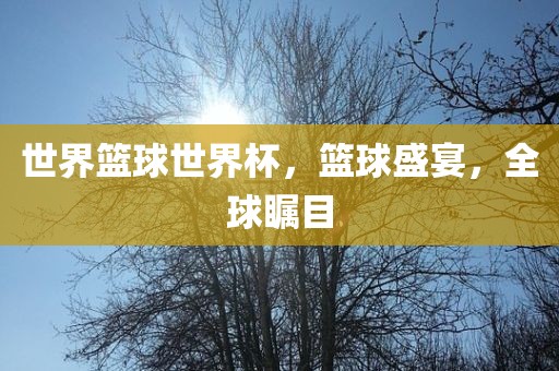 世界篮球世界杯，篮球盛宴，全球瞩目