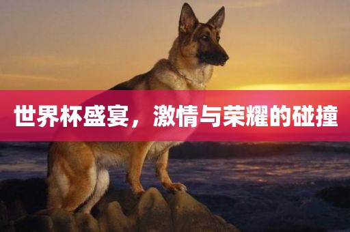 世界杯盛宴，激情与荣耀的碰撞