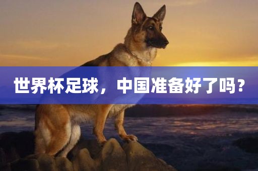 世界杯足球，中国准备好了吗？