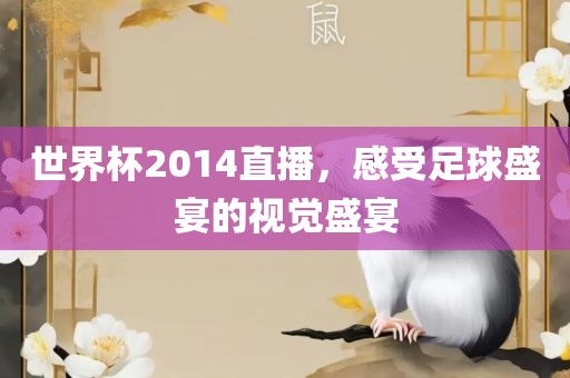 世界杯2014直播，感受足球盛宴的视觉盛宴