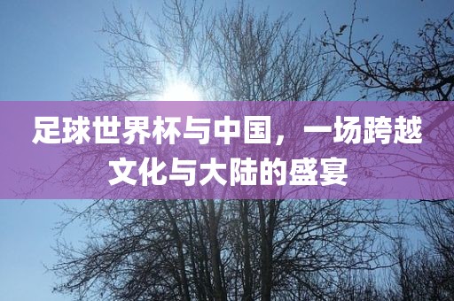 足球世界杯与中国，一场跨越文化与大陆的盛宴