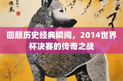 回顾历史经典瞬间，2014世界杯决赛的传奇之战