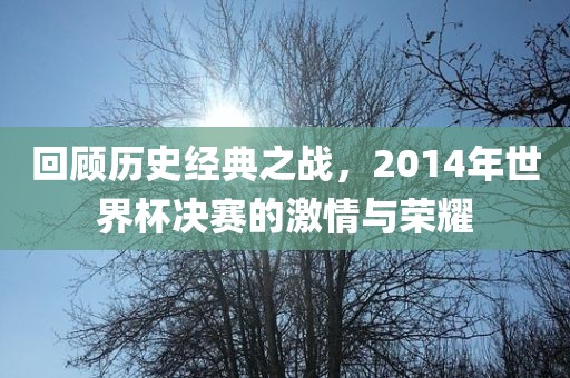 回顾历史经典之战，2014年世界杯决赛的激情与荣耀