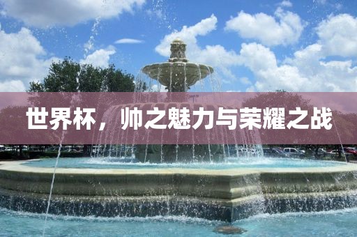 世界杯，帅之魅力与荣耀之战