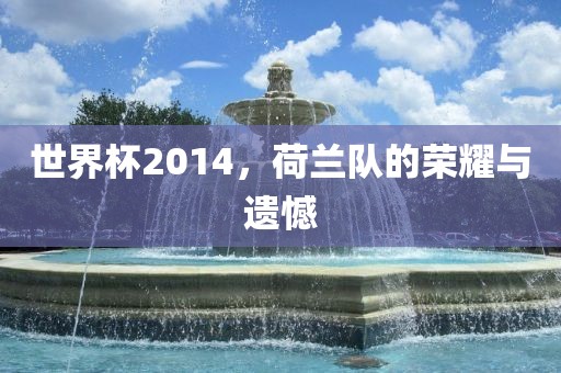 世界杯2014，荷兰队的荣耀与遗憾