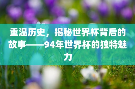 重温历史，揭秘世界杯背后的故事——94年世界杯的独特魅力