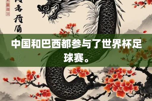 中国和巴西都参与了世界杯足球赛。