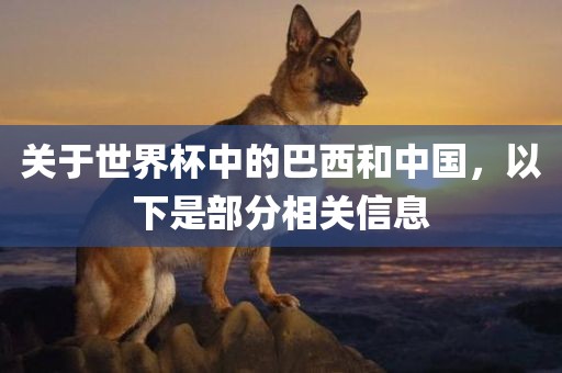 关于世界杯中的巴西和中国，以下是部分相关信息