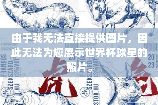 由于我无法直接提供图片，因此无法为您展示世界杯球星的照片。