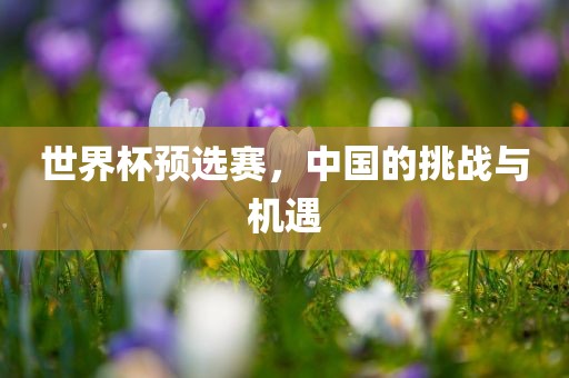 世界杯预选赛，中国的挑战与机遇