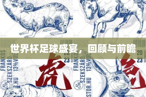 世界杯足球盛宴，回顾与前瞻